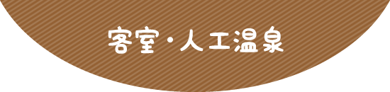 客室・人工温泉
