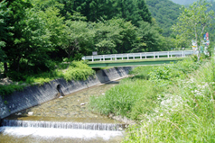 白馬グリーンシーズン