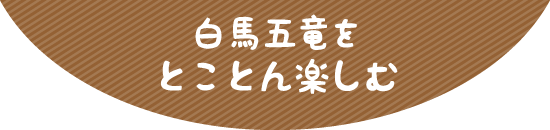 白馬五竜をとことん楽しむ